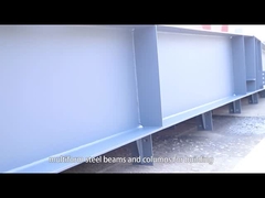 ইস্পাত কাঠামো বিল্ডিং উত্পাদন ইস্পাত প্রিফ্যাব্রিকেটেড গুদাম হ্যাঙ্গার কর্মশালা